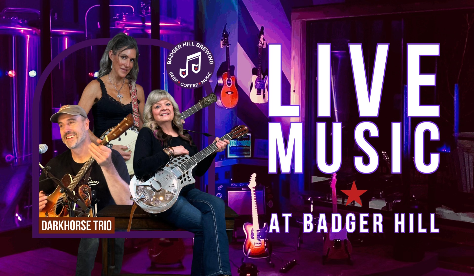 Live Music Performance by Darkhorse Trio